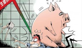 猪价最新爆料图片高清,高清爆料揭示市场新动态